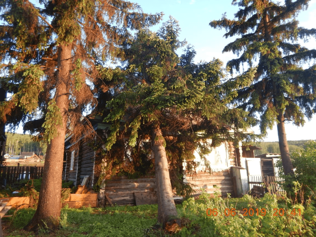 В Башкирии сильный ветер повалил дерево на частный дом