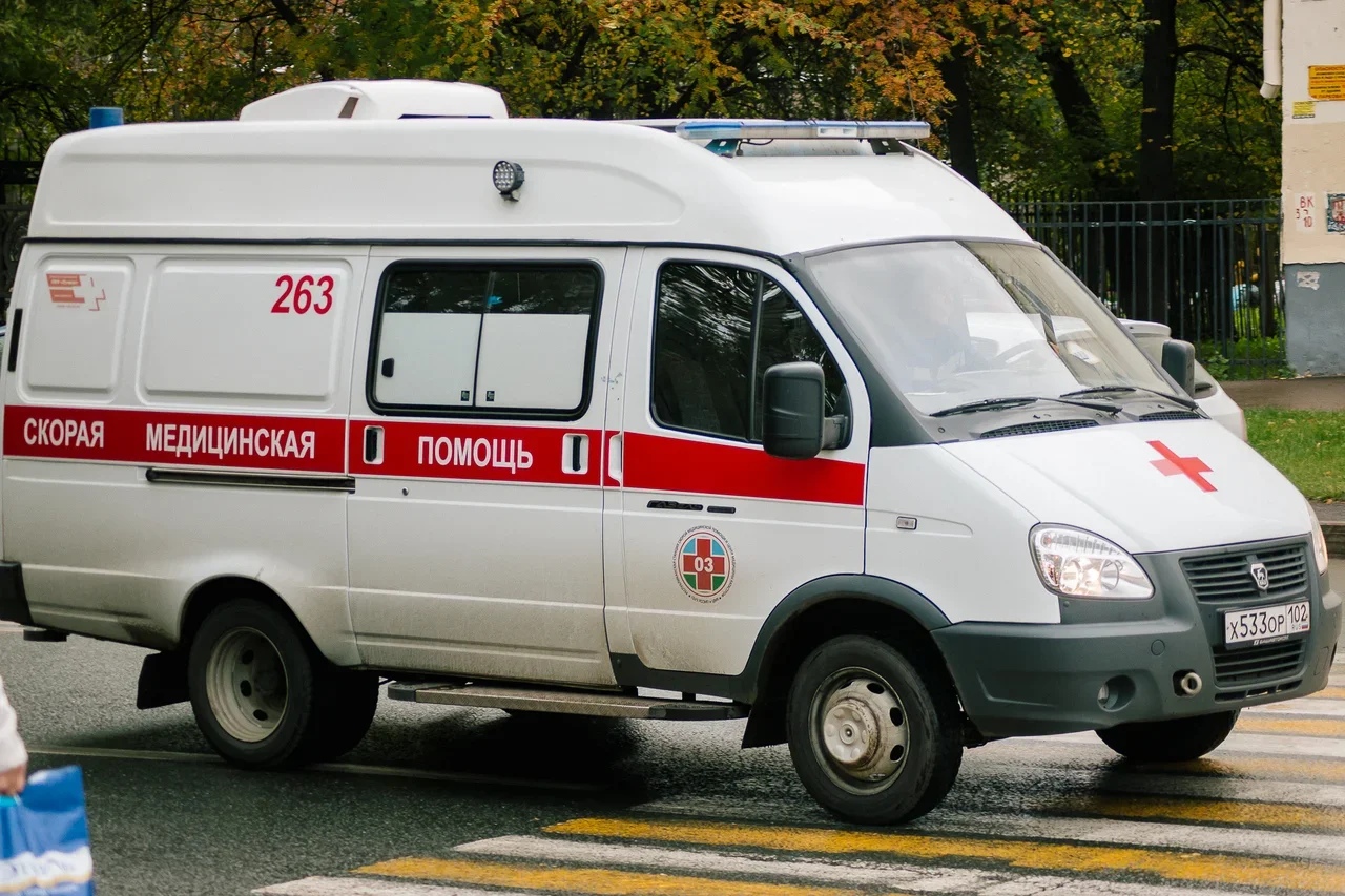 В России выявлено 7099 новых случаев заражения COVID-19 за последние сутки