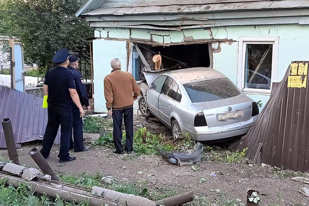 Наезд на собаку дтп или нет