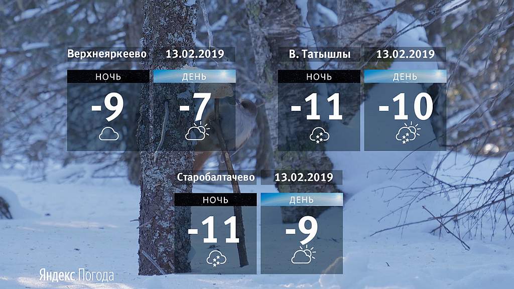Погода Татышлы на 10 дней. Погода рп5 Верхние Татышлы. Погода в уфе сегодня точный прогноз