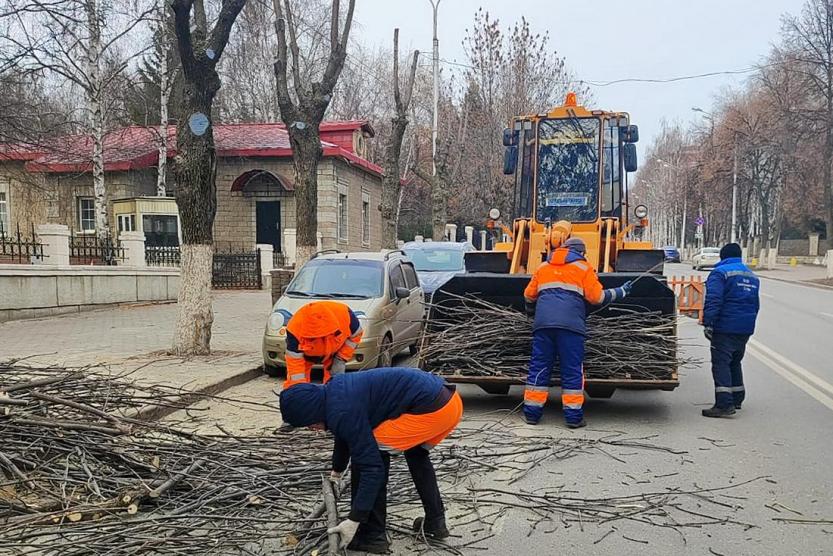 На трех улицах Уфы вырубили деревья. Как власти это объясняют?