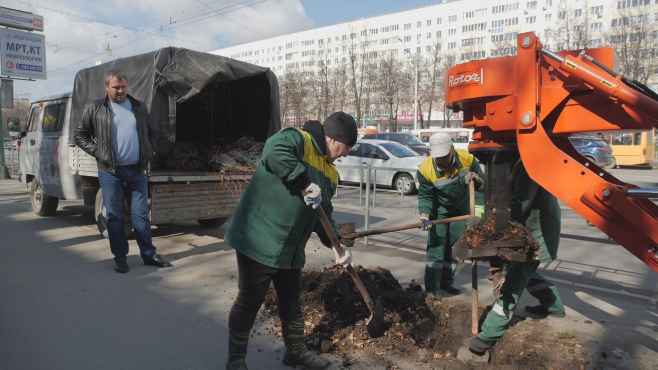 В Уфе с корнем вырывают остатки деревьев с помощью корчевальной машины из  Италии - Новости - Уфа - UTV