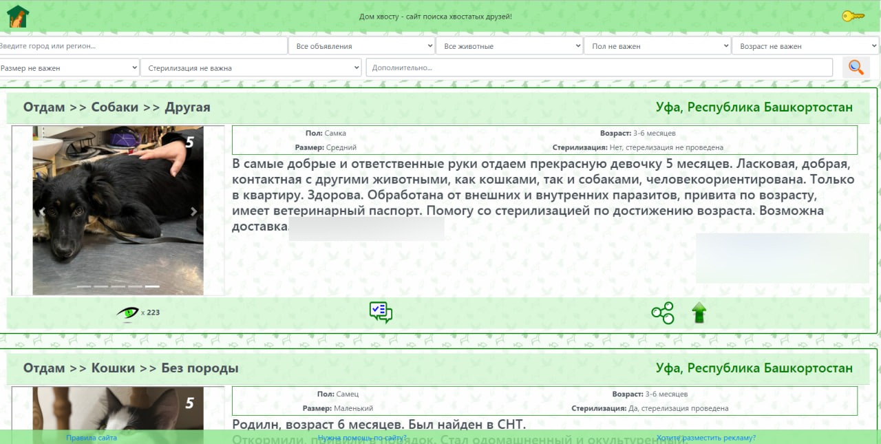 В Башкирии заработал бесплатный портал для пристраивания бездомных животных  - Новости - Уфа - UTV