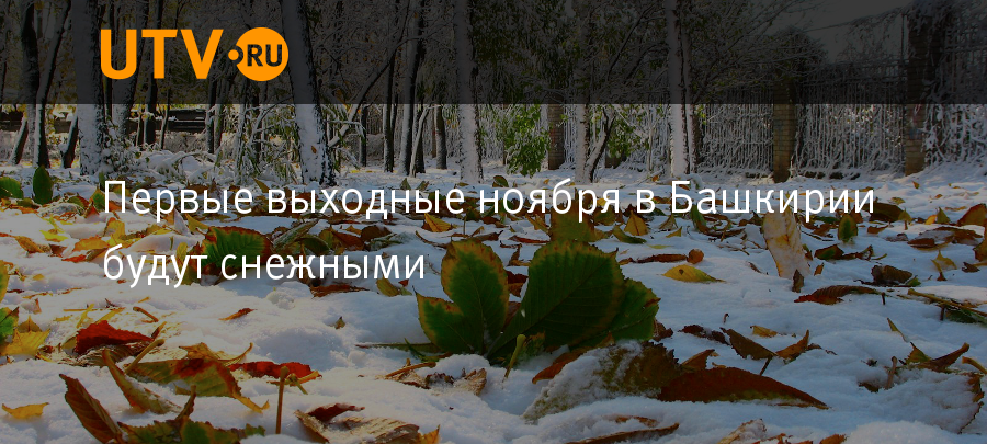 Последние ноябрьские выходные. Последние выходные ноября картинки. 1 Ноября выходной в Башкирии. Приколы про выходные в ноябре.