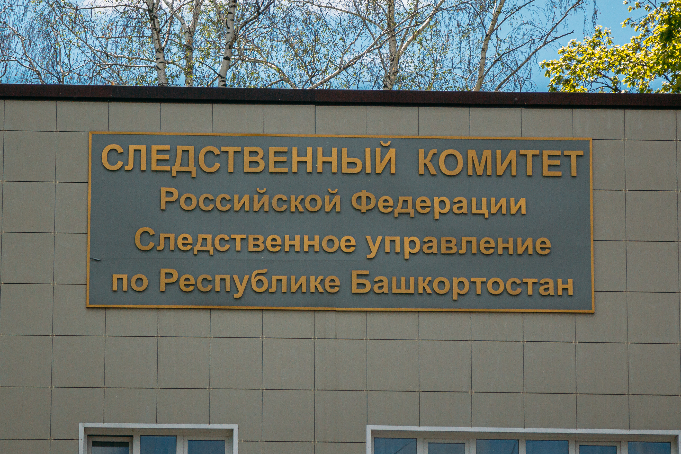 Уфимку подозревают в присвоении себе более 700 акций клиентов на 1 миллион  рублей - Новости - Уфа - UTV