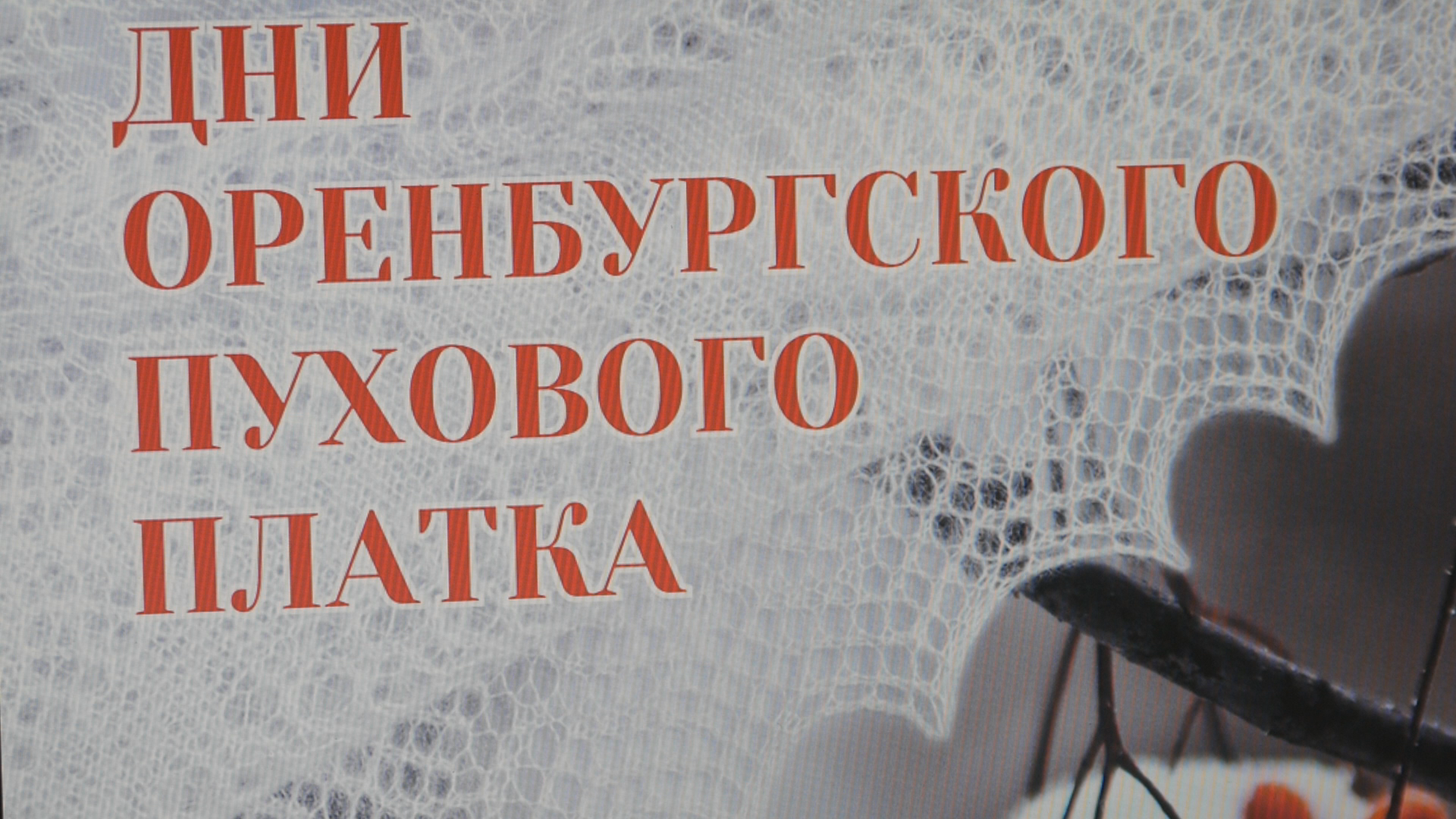 День шали. Оренбургский пуховый платок. Оренбургский пуховый платок надпись. Оренбургский пуховый платок символ Оренбуржья. Дни Оренбургского пухового платка.