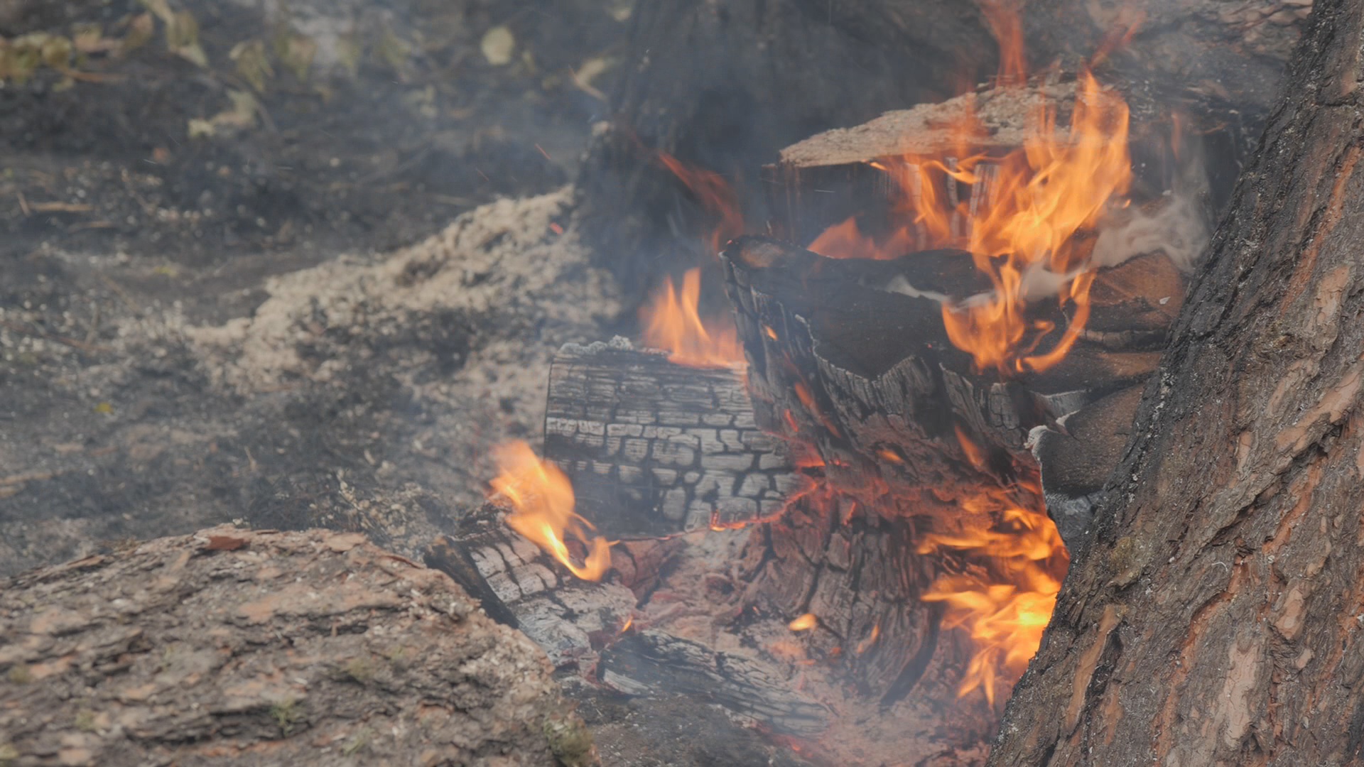 В Башкирии открыт пожароопасный сезон. Что это значит?