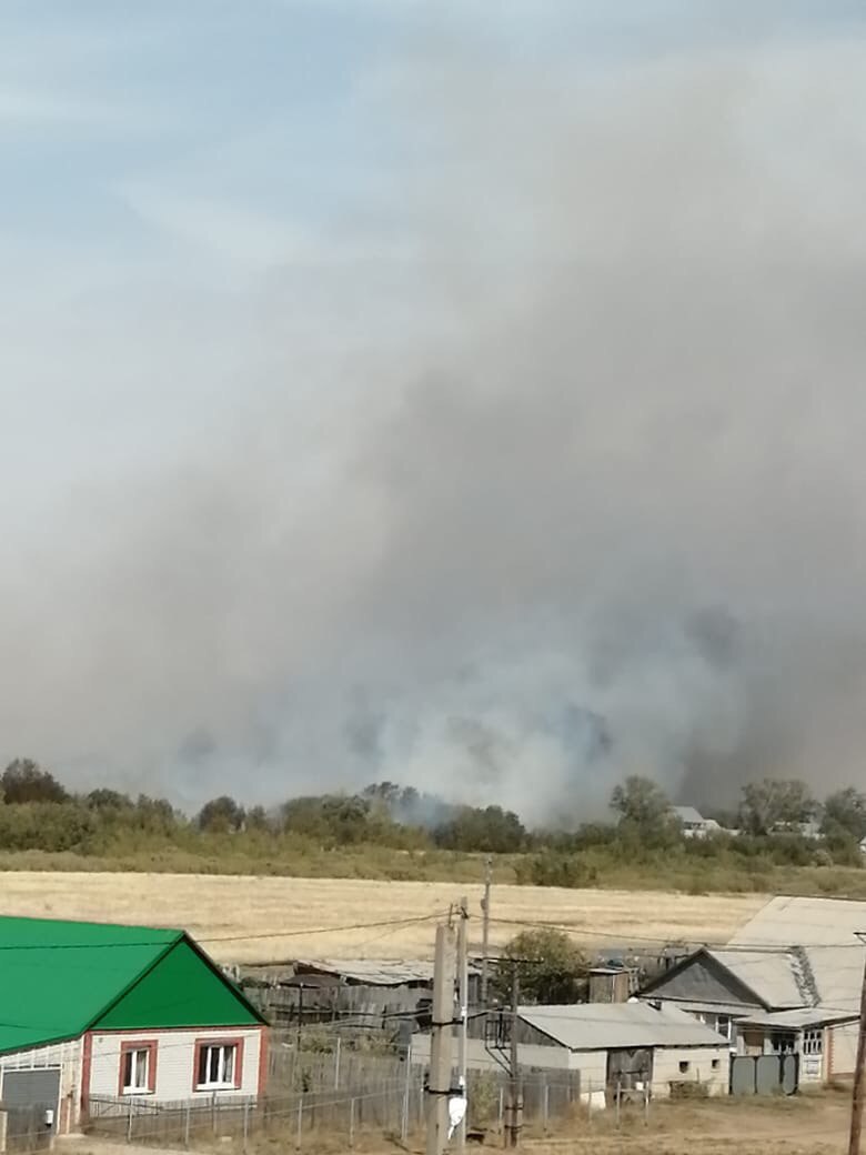 В Оренбургской области не утихают ландшафтные пожары. Прокуратура проводит проверку