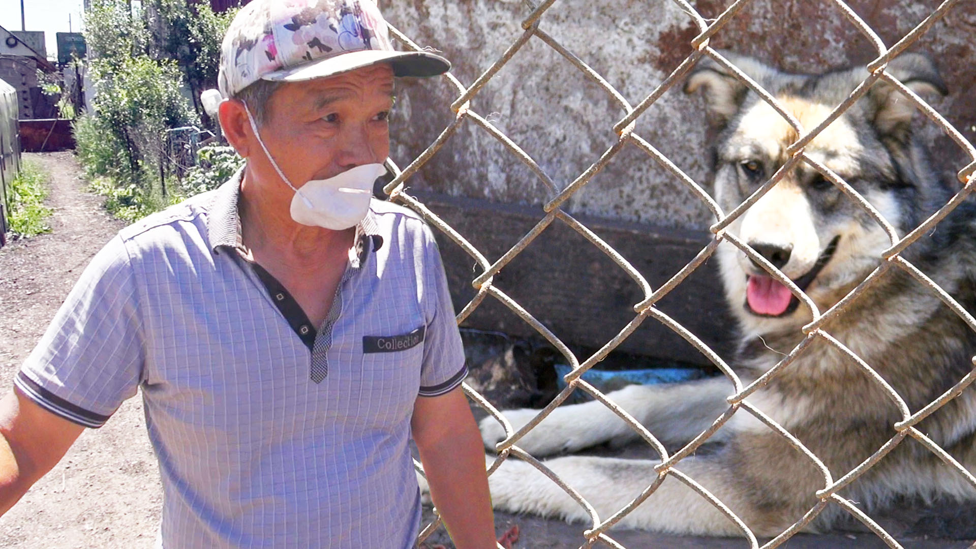 Жители поселка под Уфой обвиняют соседей из Вьетнама в том, что они едят собак