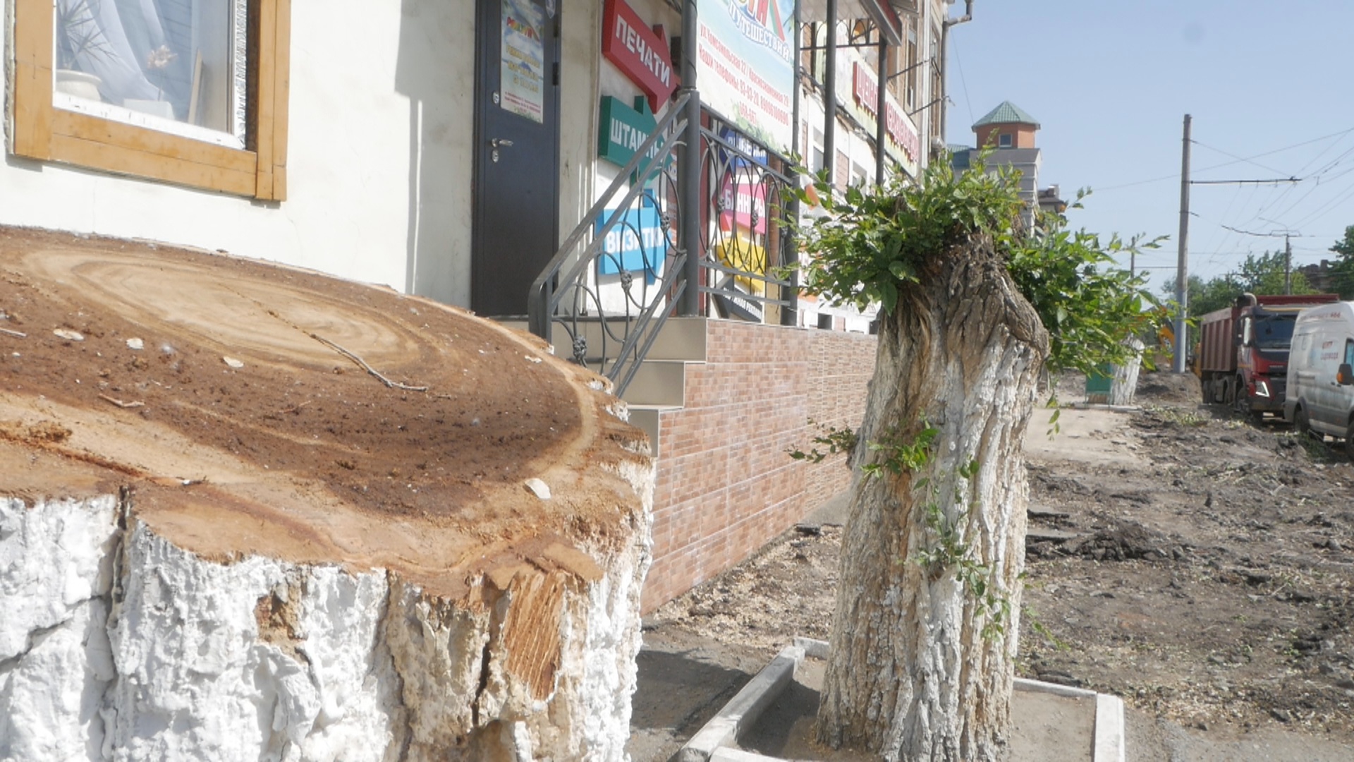 По факту незаконной вырубки деревьев в центре Оренбурга возбуждено уголовное дело