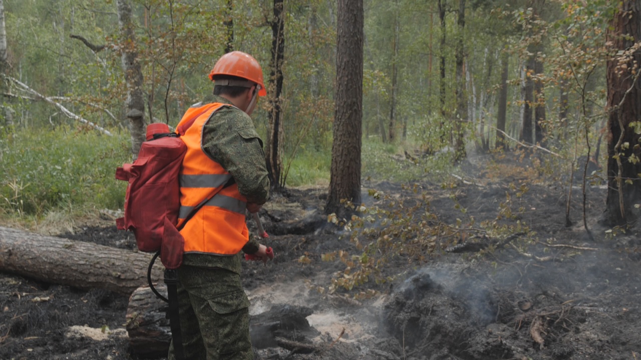 В Башкирии горит лес в Белорецком районе