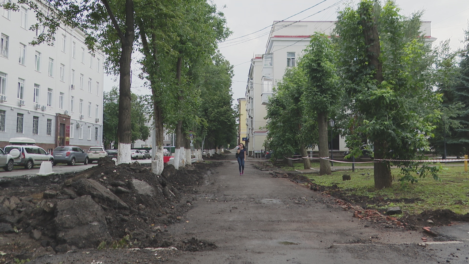 Уфимские активисты борются за сохранение деревьев в центре города