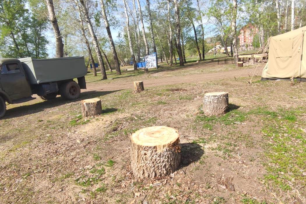 В Оренбурге прокуратура требует возбудить уголовное дело по вырубке деревьев на Красной площади