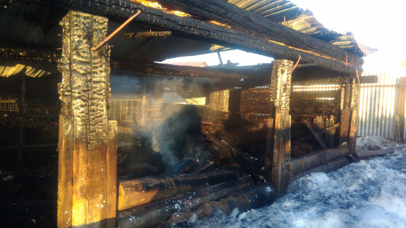 В Бузулукском районе в пожаре погибли 40 свиней