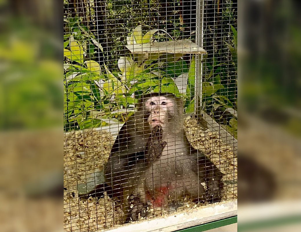 В Башкирии бизнесмен нарушал условия содержания животных в зоопарке