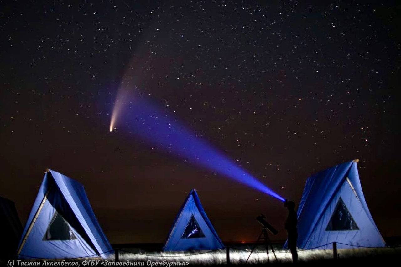 В заповеднике «Оренбургский» сфотографировали комету Neowise