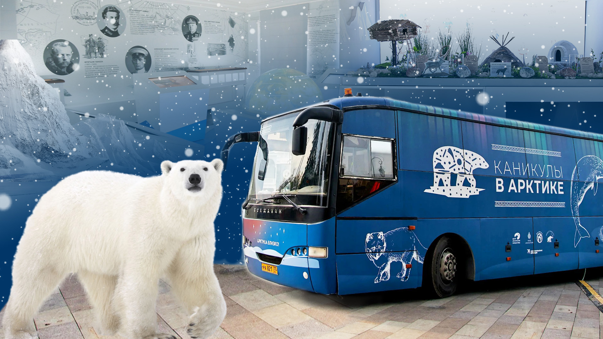 Полярный музей на колесах: в Уфе пройдет экомарафон “Каникулы в Арктике”