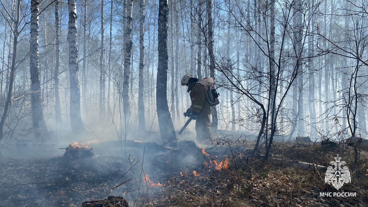 На трассе в Башкирии произошло массовое ДТП из-за горящей сухой травы