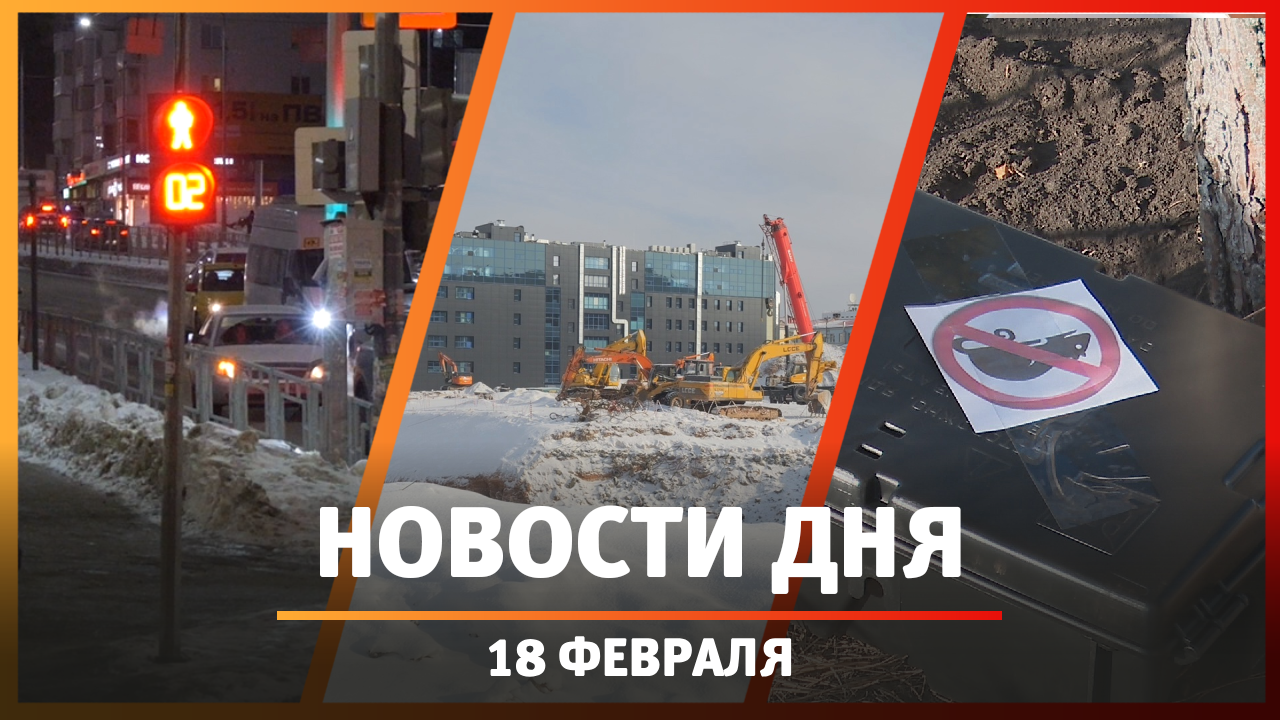 Новости Уфы и Башкирии 18.02.2025: обвал грунта на Тукаева, мыши в ЖК и странный светофор