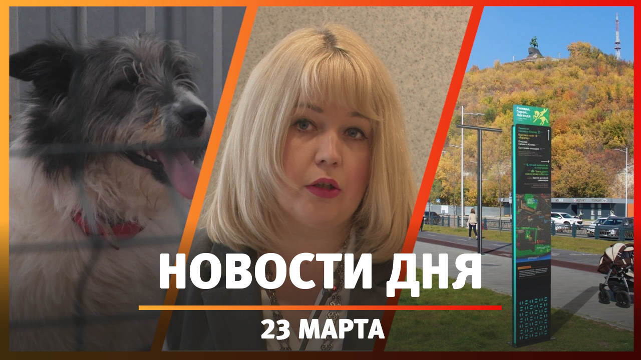 Новости Уфы и Башкирии 23.03.23: буллинг в школах, туристическая навигация и приюты для собак