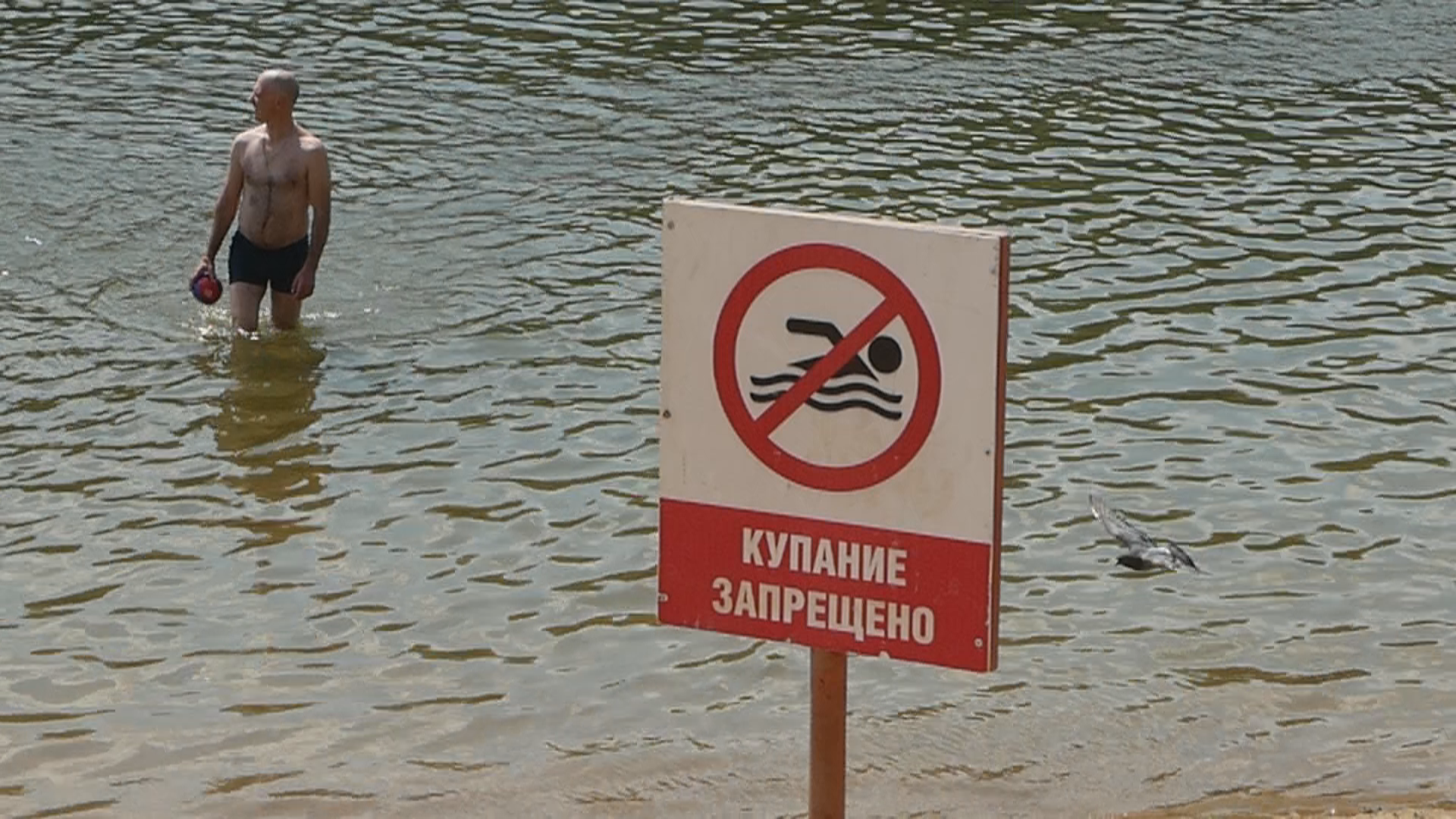 Где нельзя плавать. Купаться запрещено. Знак «купаться запрещено». Купаться запрещено табличка. Запрещено купаться в водоемах.