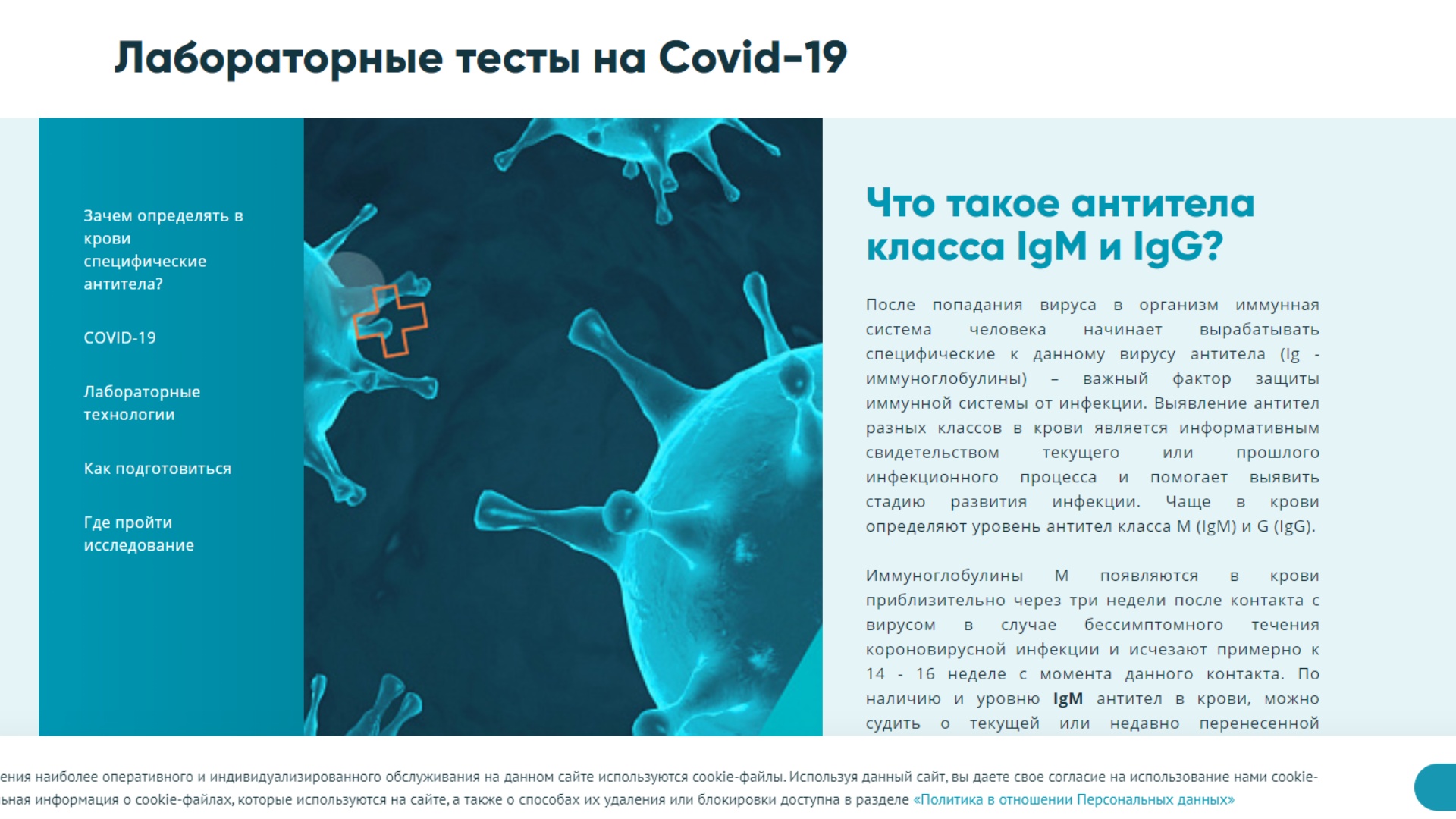 Анализы крови на антитела Covid-19