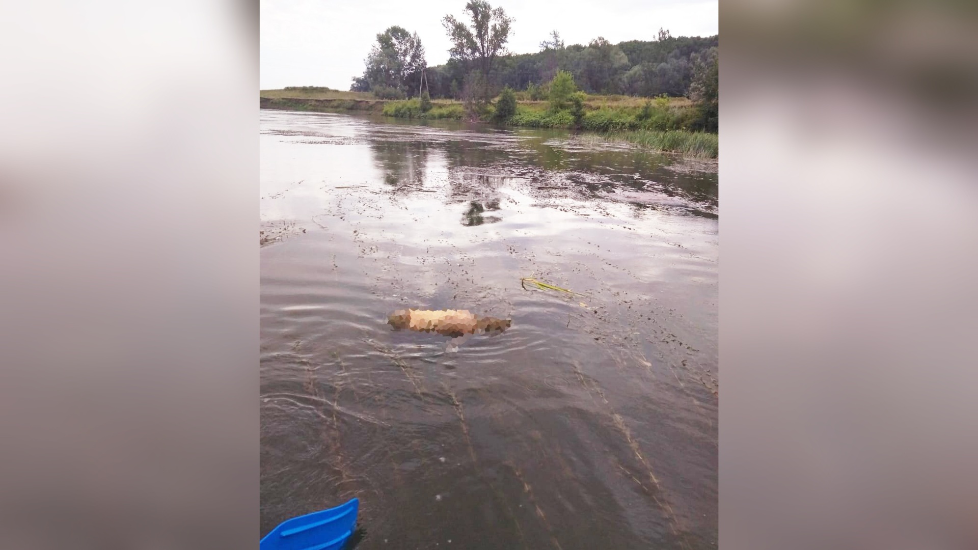 В реке нашли тело ребенка