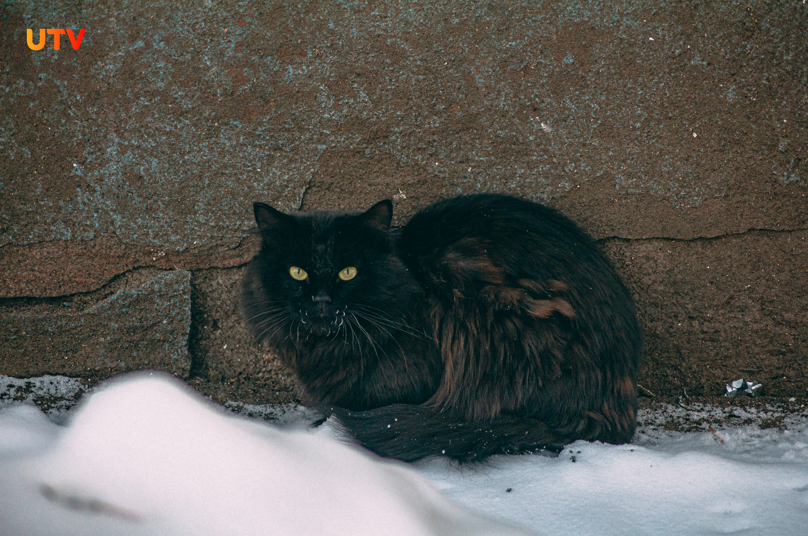 Перед полетом