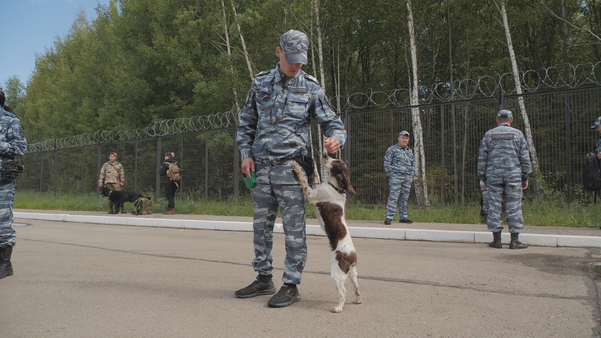 Поиск людей и взрывчатки. Провели один день с кинологами и служебными  собаками - Новости - Уфа - UTV