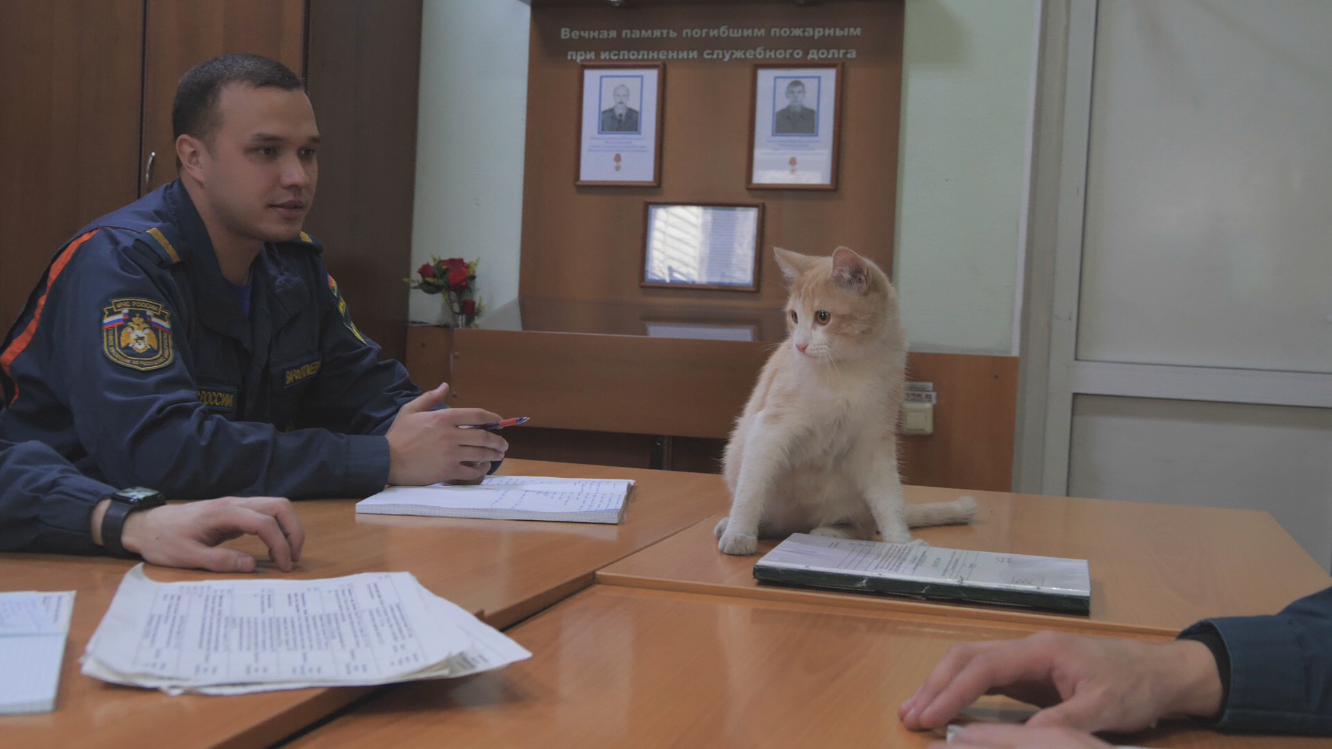 Кадр из репортажа UTV