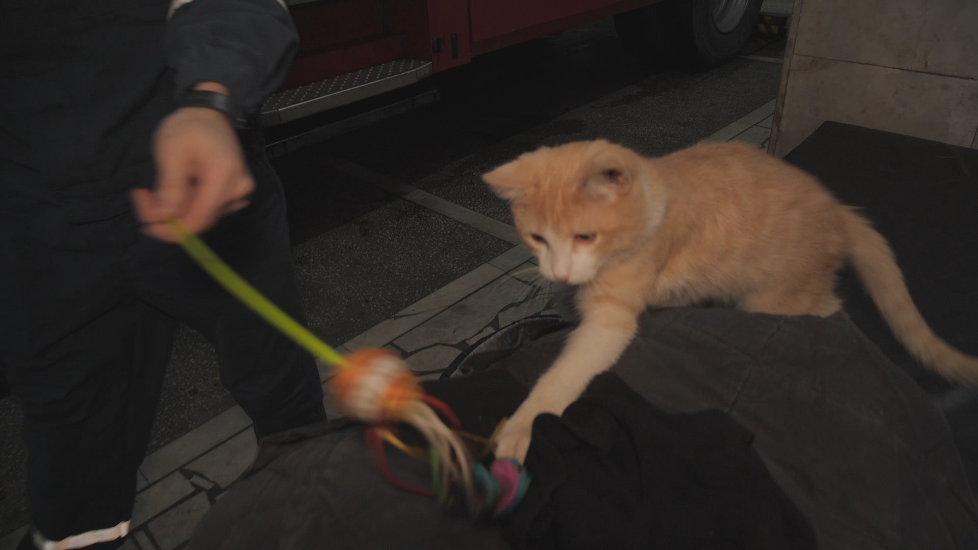 Кадр из репортажа UTV