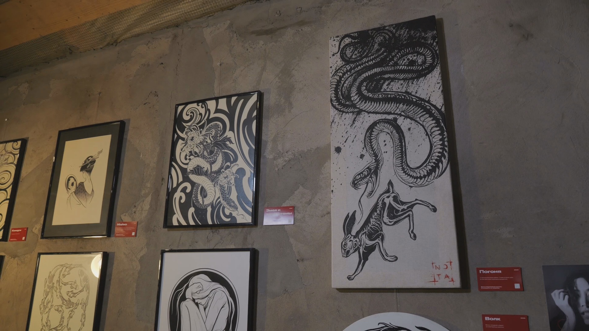 Кадр из репортажа UTV