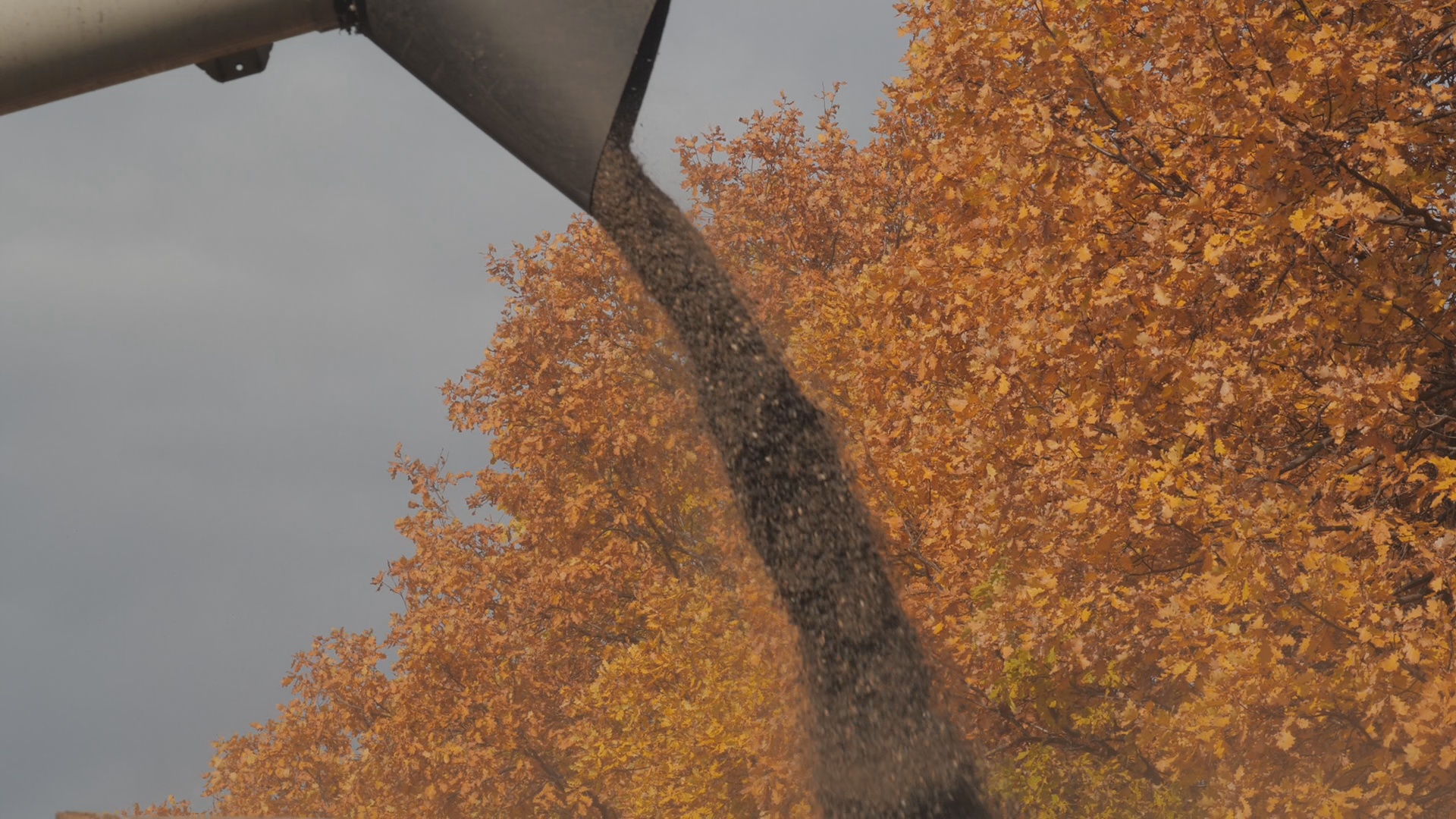 Кадр из репортажа UTV