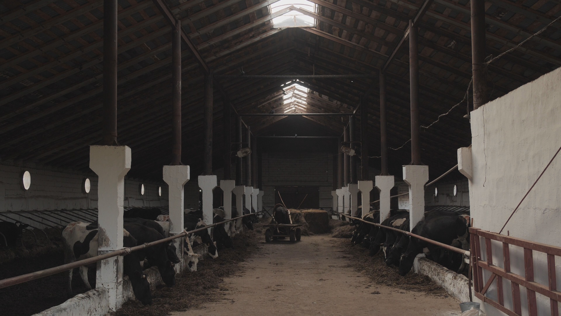 Кадр из репортажа UTV