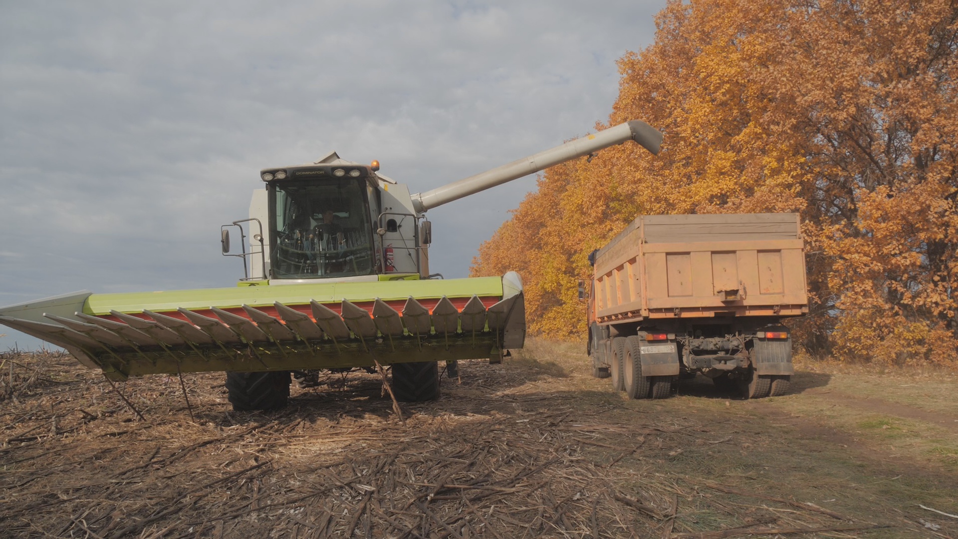 Кадр из репортажа UTV