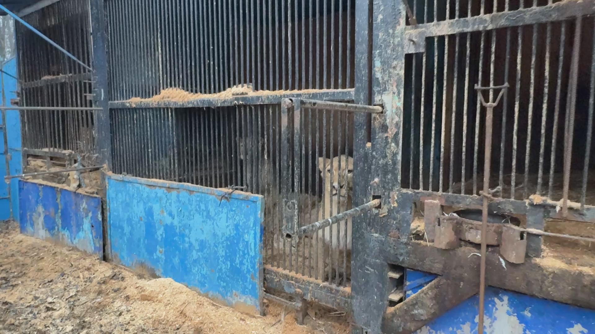 Кадр из репортажа UTV