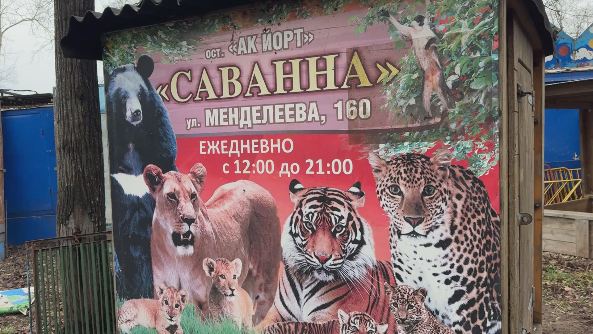 Кадр из репортажа UTV