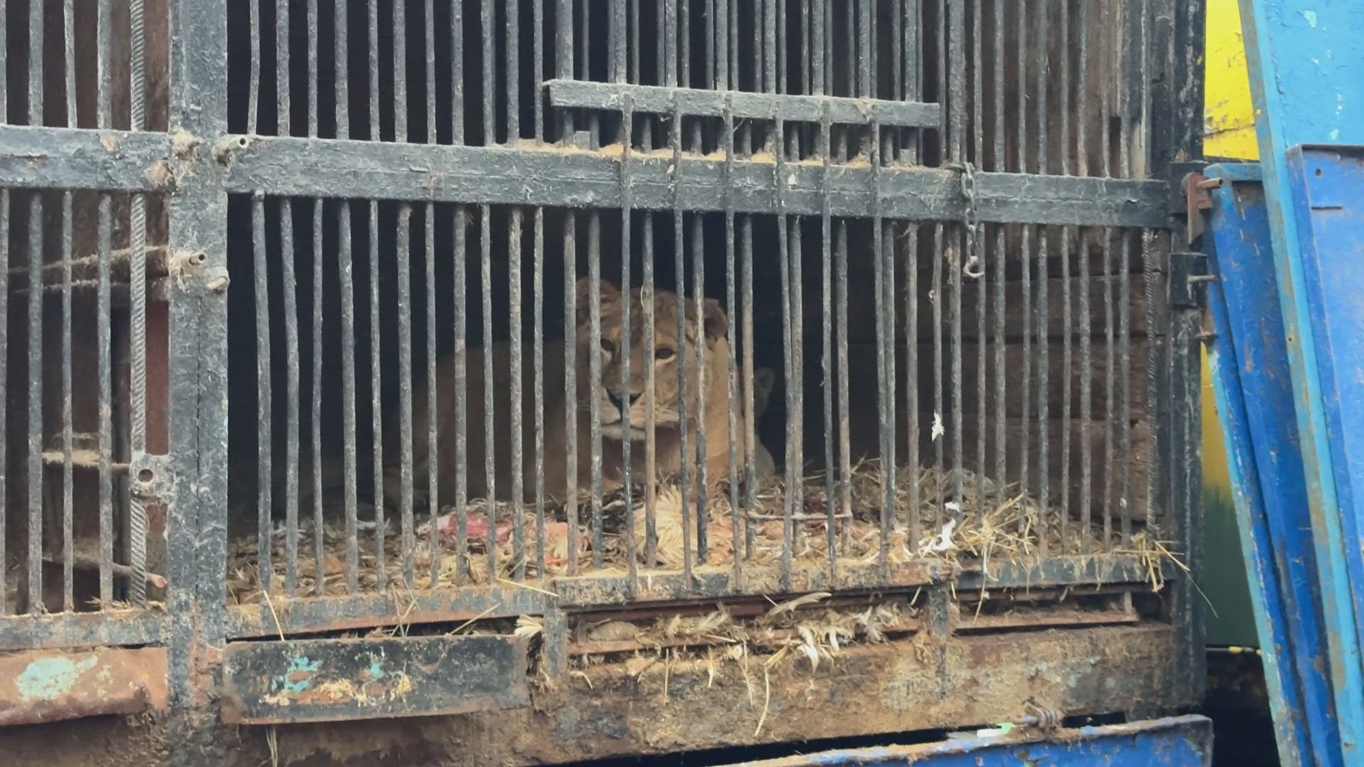 Кадр из репортажа UTV