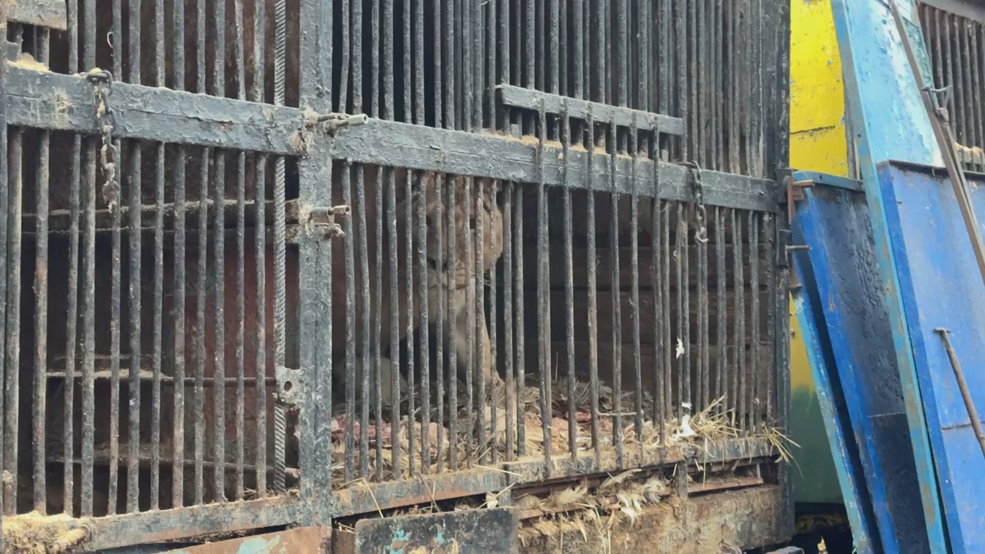 Кадр из репортажа UTV