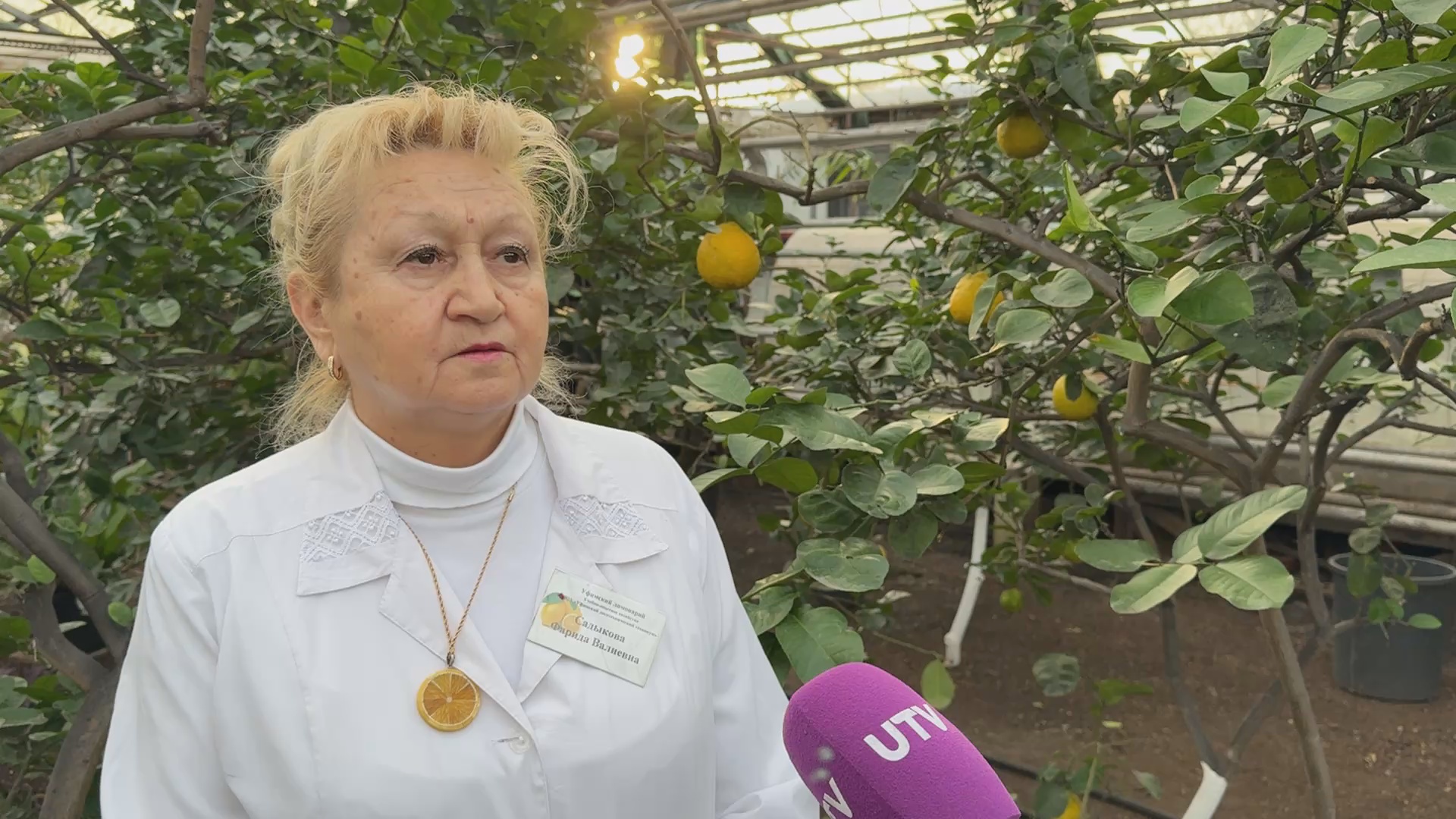 Кадр из репортажа UTV