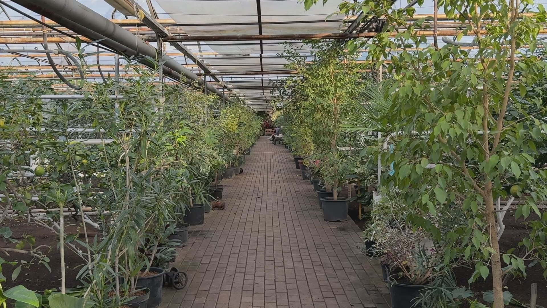 Кадр из репортажа UTV