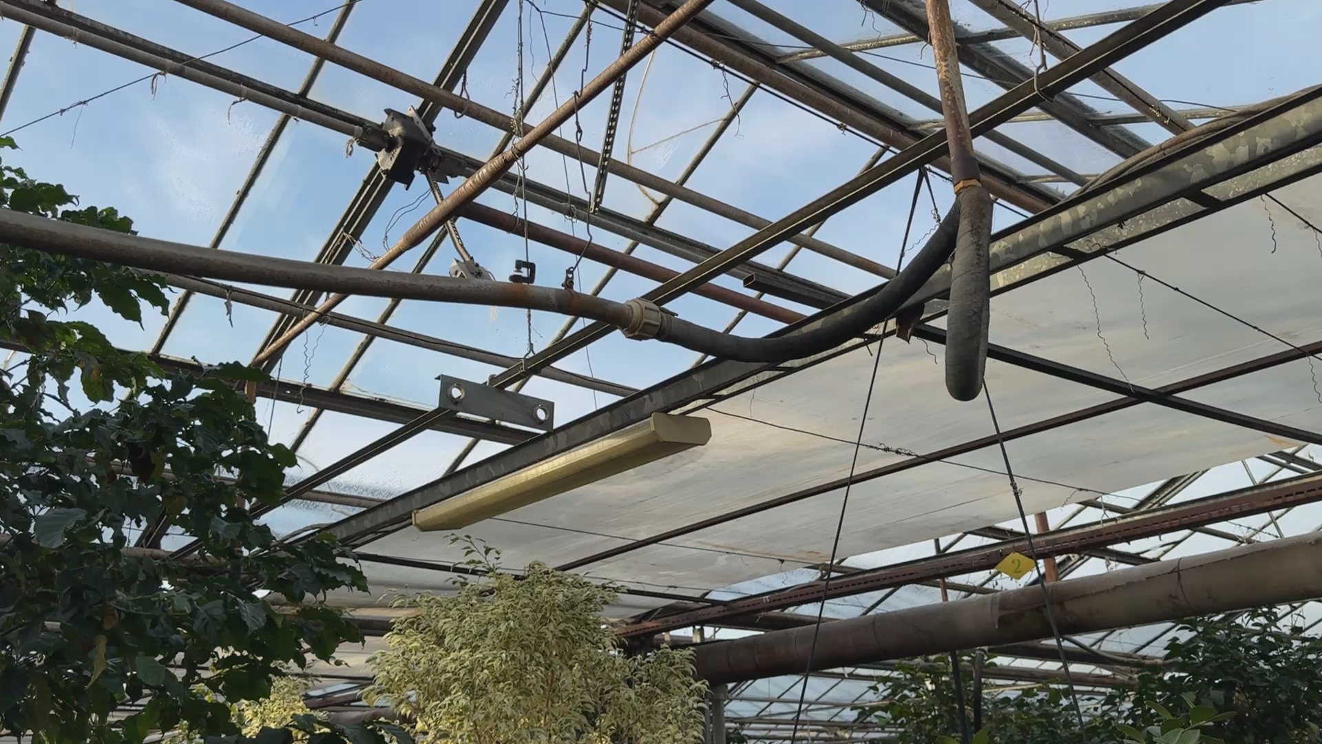 Кадр из репортажа UTV